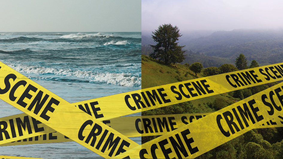 sea scape and tree scape side by side with overlay of criss-crossed crime scene tape