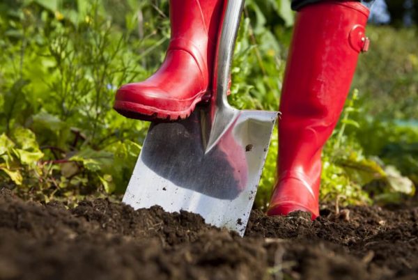 person wearing red wellies digging ground with a spade