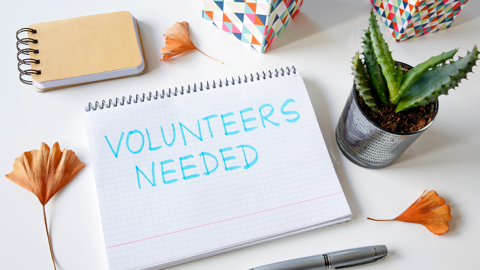 Sisters in Crime Australia is calling out for volunteers.